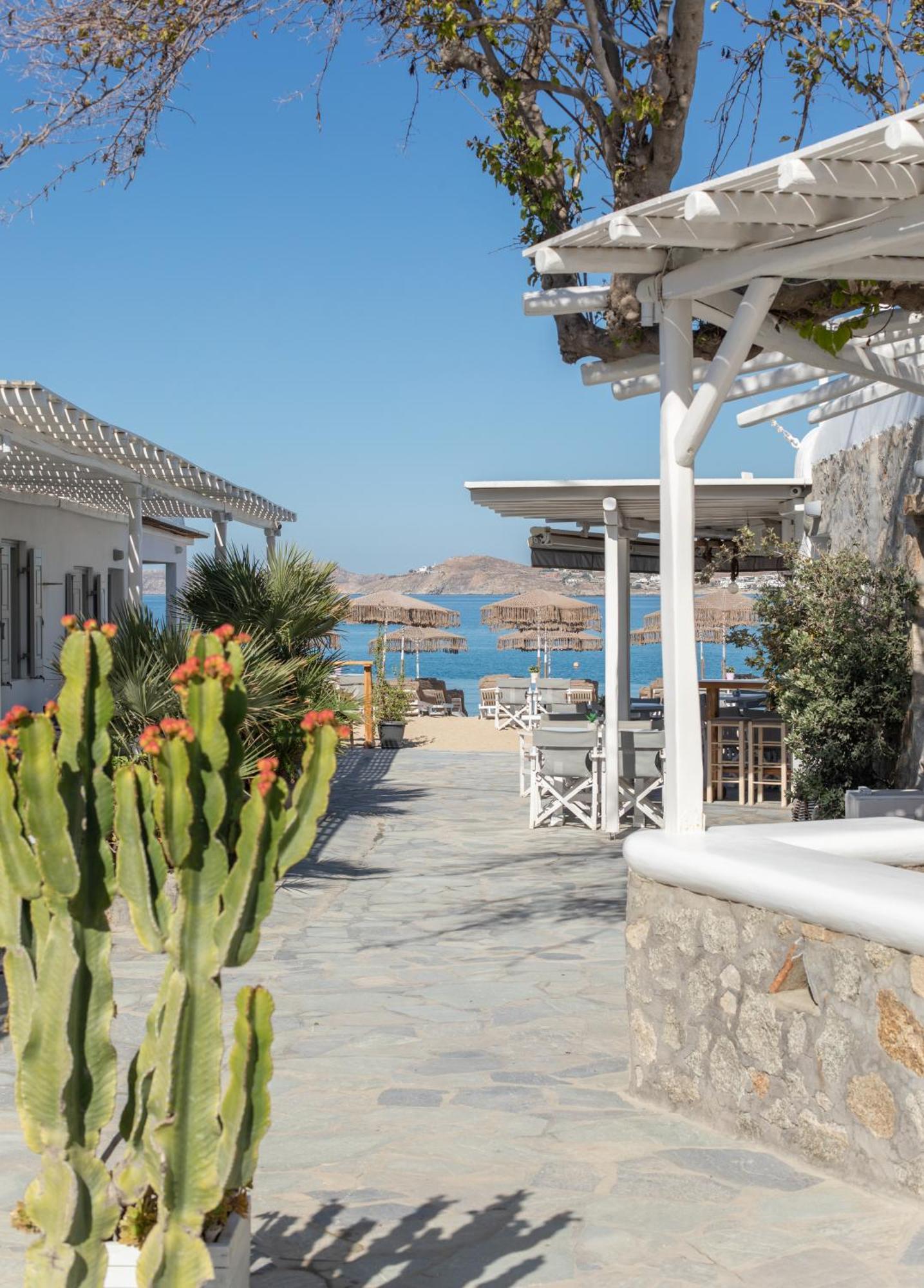 Agia Anna Beachfront Boutique Paraga  Exterior photo
